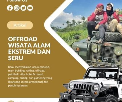 artikel 11 pro management (2)