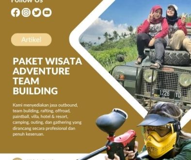 artikel 11 pro management (3)