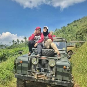 galeri 11 pro management (4) galeri 11 pro management (4)