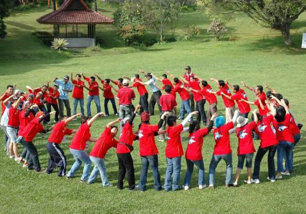 galeri 11 pro management (6)